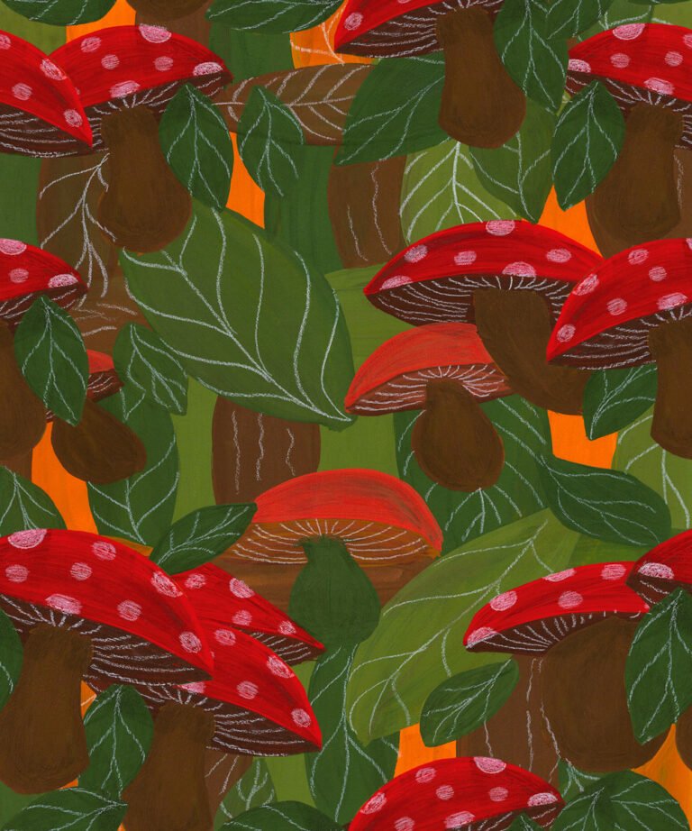 Rapport  Cogumelos 50 x 60