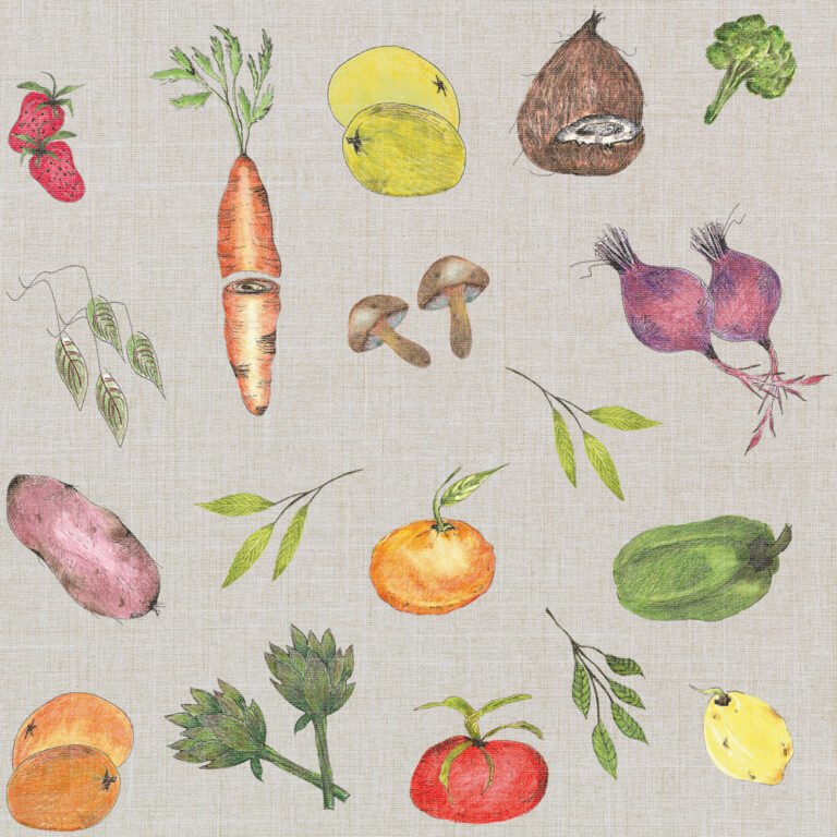 Rapport Legumes Coloridos 50 x 50
