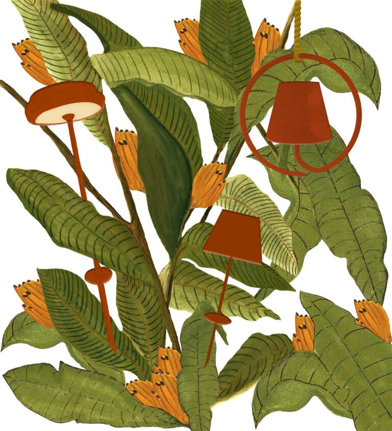 Montagem-Desenho-Lapela-20-x-22-Sem-Fundo